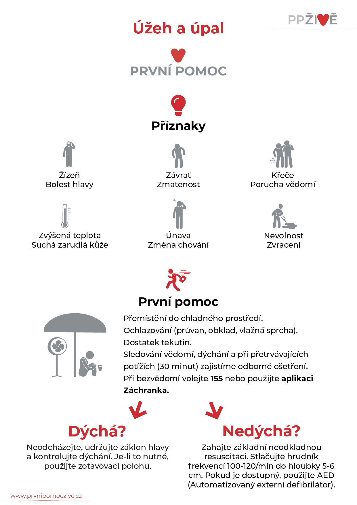 Infografika s příznaky a postupem první pomoci při úžehu a úpalu – žízeň, bolest hlavy, závratě, nevolnost, přemístění do chladu, chlazení, kontrola vědomí a dýchání.
